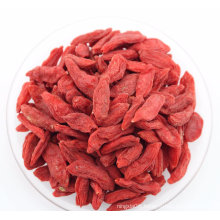 Weight Loss Fruit--Ningxia Wolfberry (Goji berries)